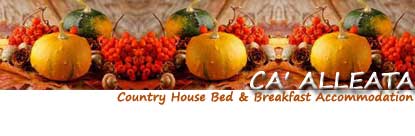 Ca' Alleata, Country House, Bed and Breakfast, Accomodation, restaurant, Venice, Caorle, San Stino di Livenza, Portogruaro